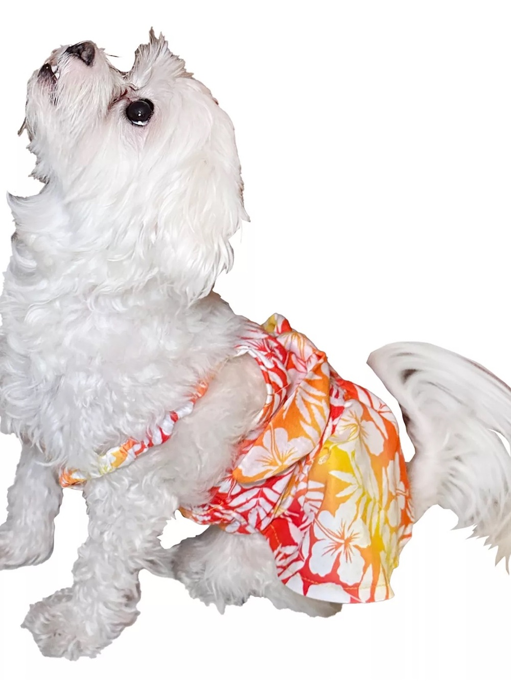 Dog Summer Dress - Orange Yellow Hawaiian Print*